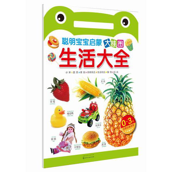 生活大全（0-3岁聪明宝宝启蒙大挂图）