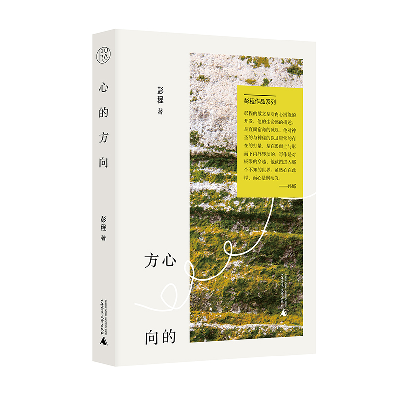 彭程作品系列 心的方向
