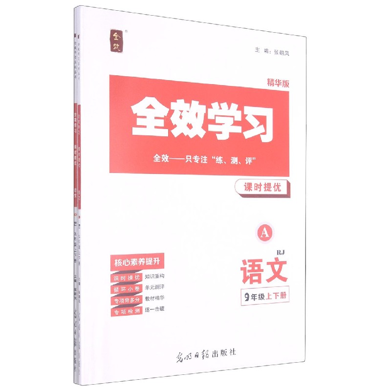 语文（9年级上下RJ精华版共2册）/全效学习课时提优