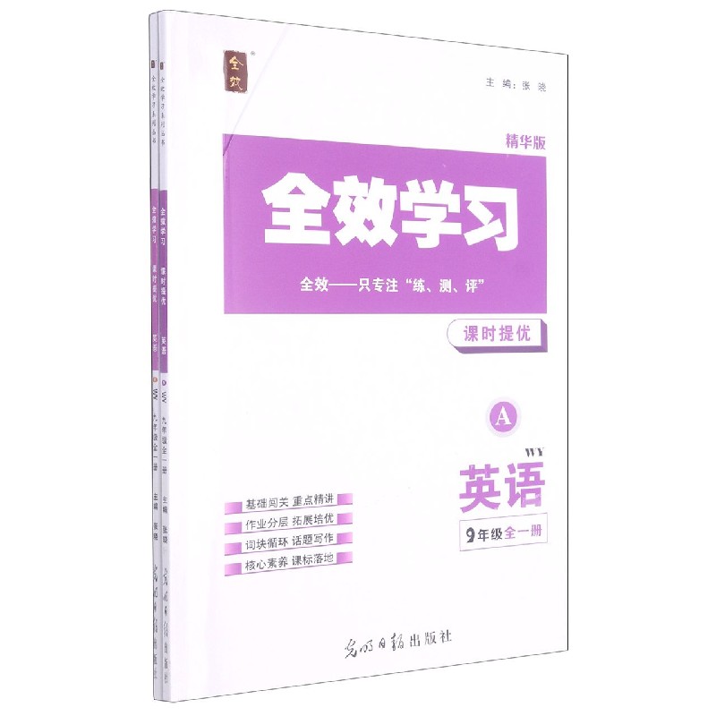 英语（9年级全1册WY精华版共2册）/全效学习课时提优