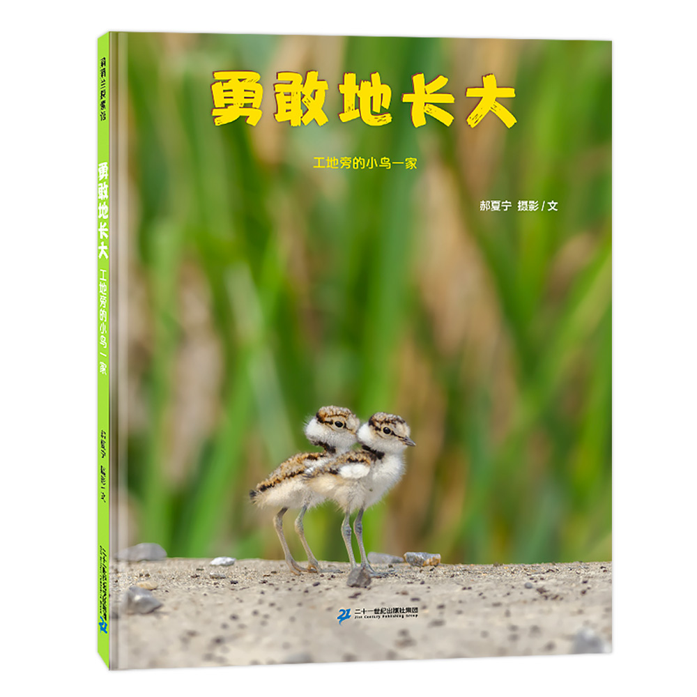 勇敢地长大：工地旁的小鸟一家