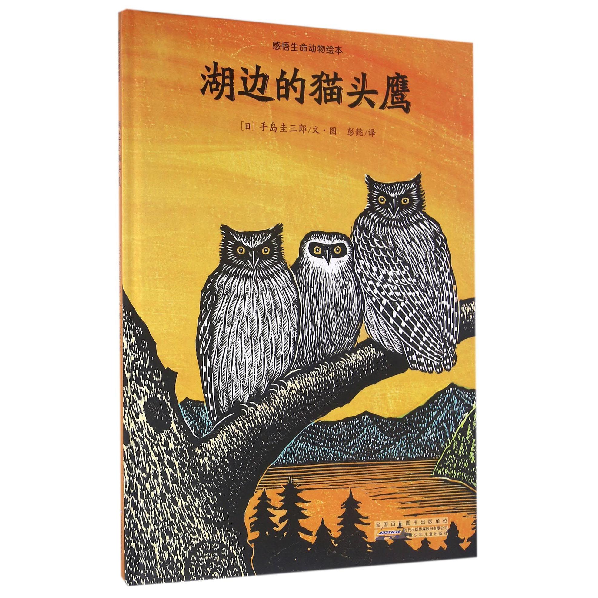 湖边的猫头鹰(精)/感悟生命动物绘本