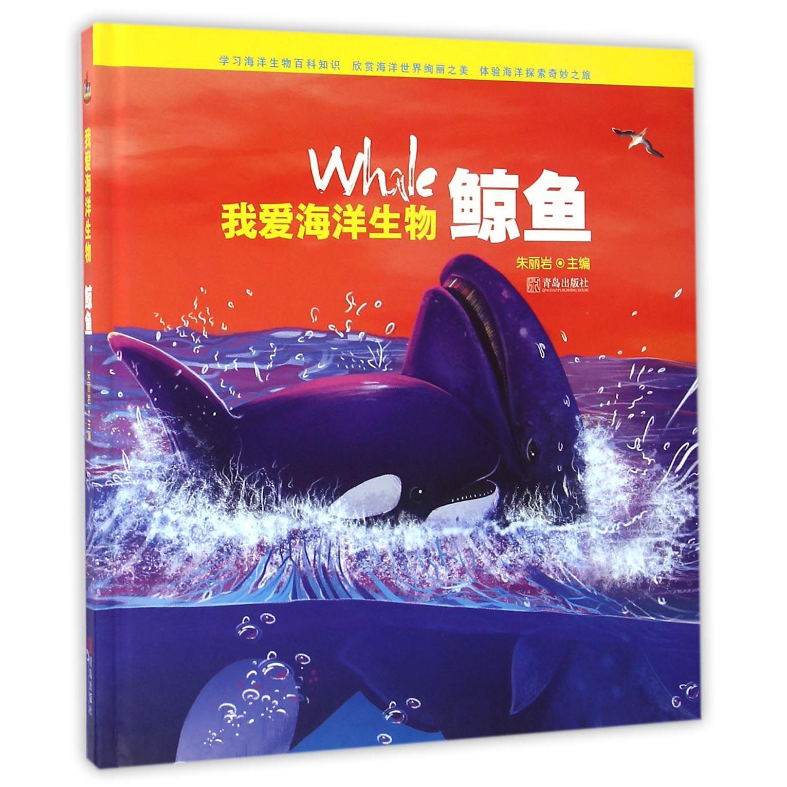 我爱海洋生物（鲸鱼）（精）
