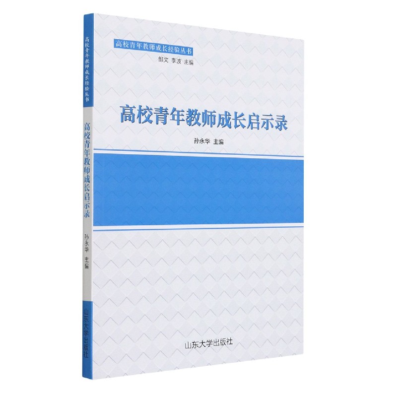 高校青年教师成长启示录/高校青年教师成长经验丛书