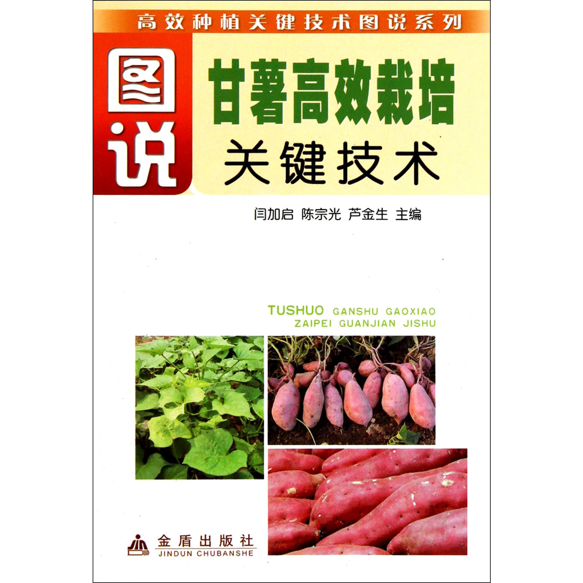 图说甘薯高效栽培关键技术/高效种植关键技术图说系列