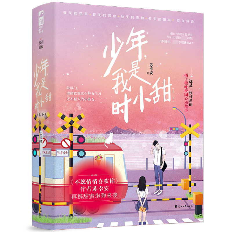 少年我是时小甜(上下)