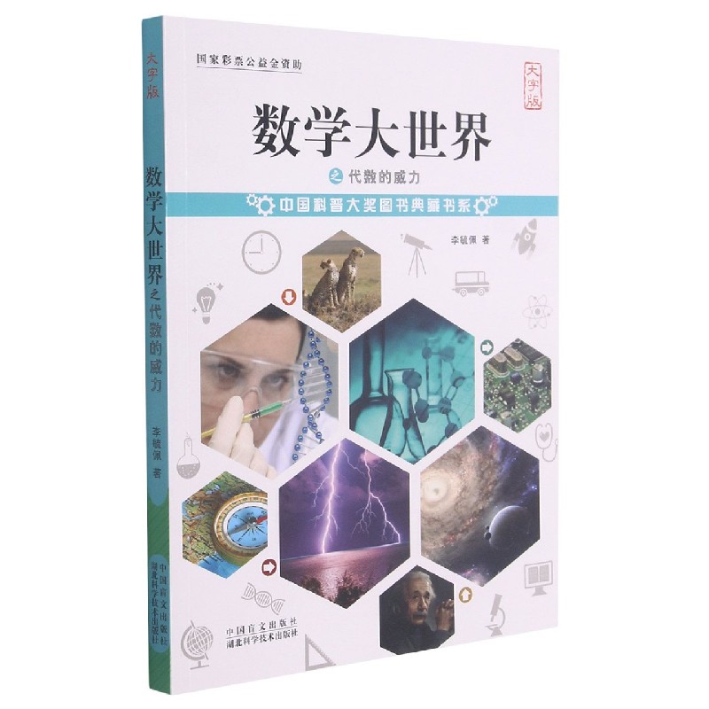 数学大世界之代数的威力（大字版）/中国科普大奖图书典藏书系