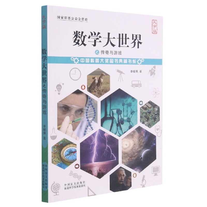 数学大世界之传奇与游戏（大字版）/中国科普大奖图书典藏书系