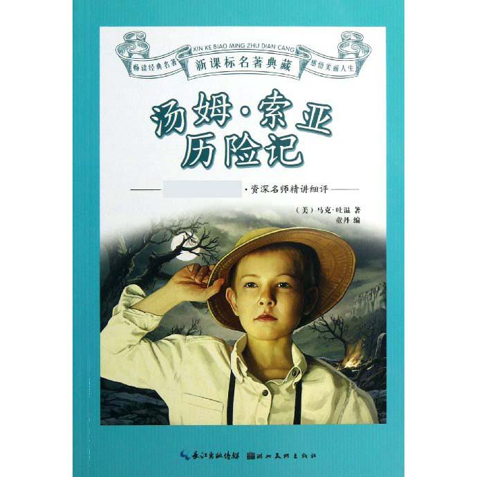 汤姆·索亚历险记