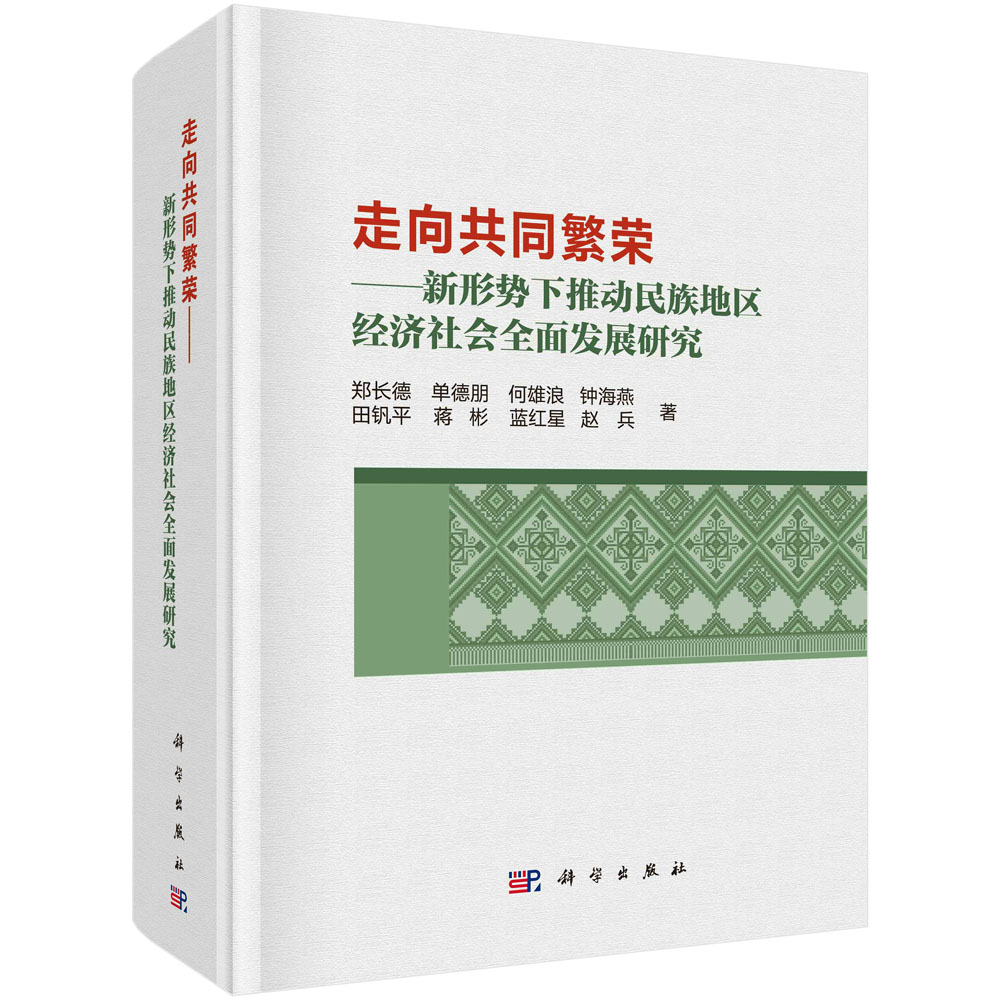 走向共同繁荣--新形势下推动民族地区经济社会全面发展研究（精）