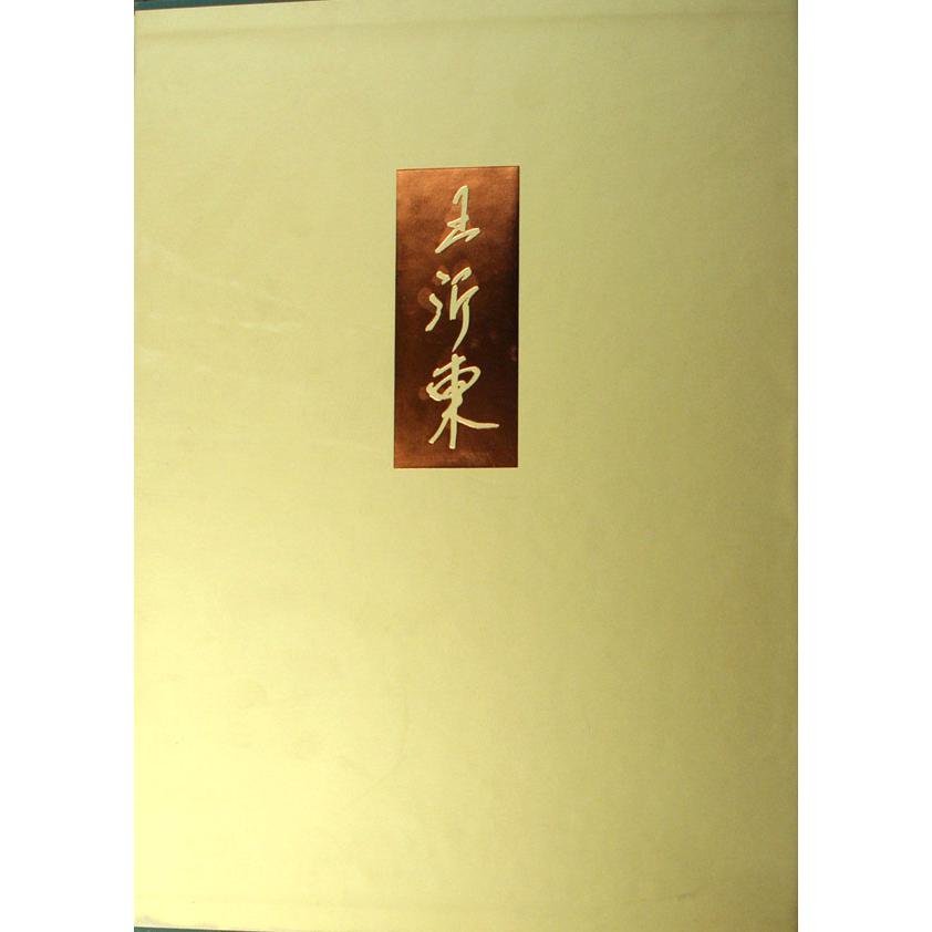 中国当代油画名家画集（王沂东）（精）