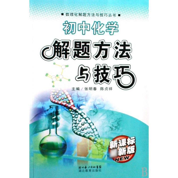 初中化学解题方法与技巧（新版）/数理化解题方法与技巧丛书