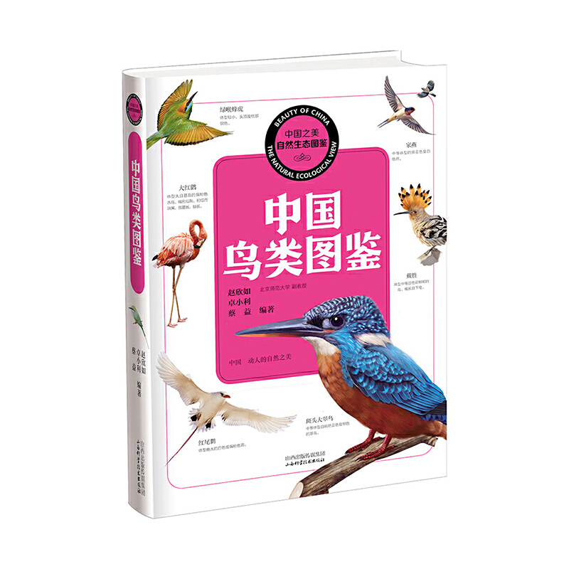 中国鸟类图鉴/中国之美自然生态图鉴