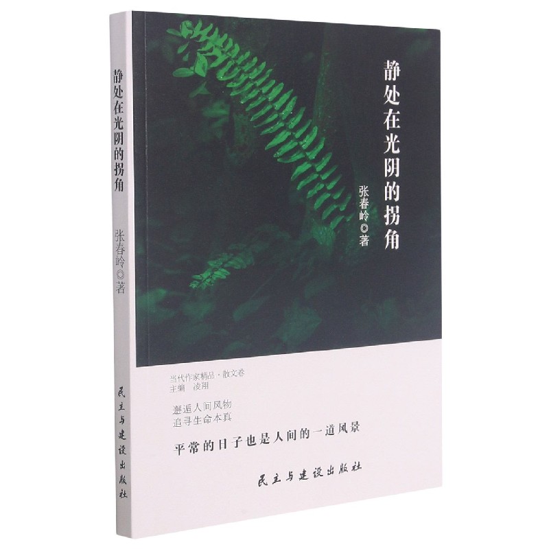 静处在光阴的拐角/当代作家精品