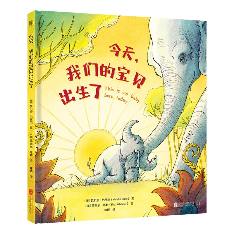 今天我们的宝贝出生了（精）