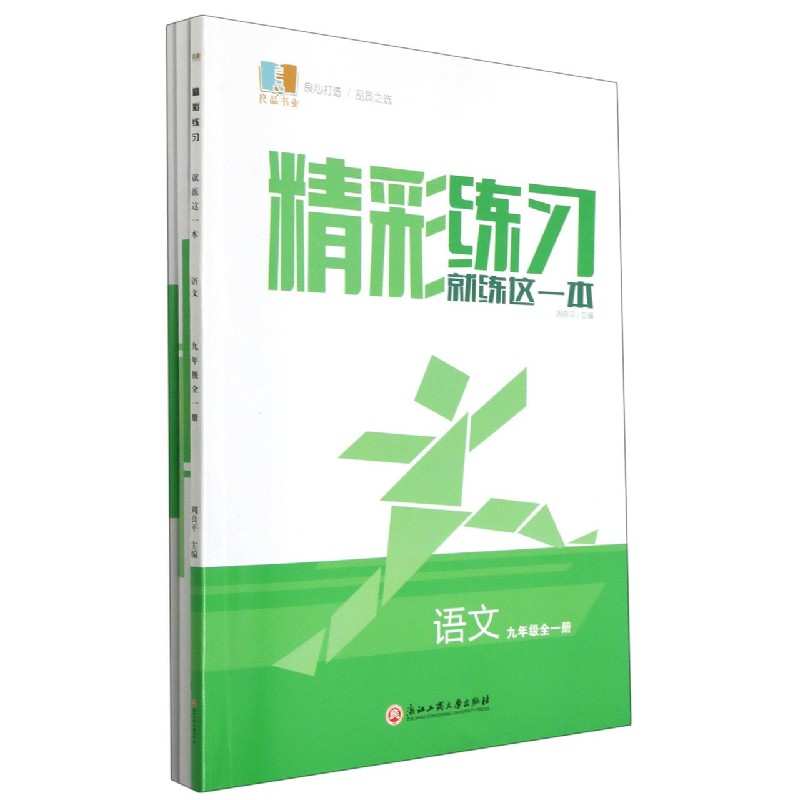 语文（9年级全1册）/精彩练习就练这一本