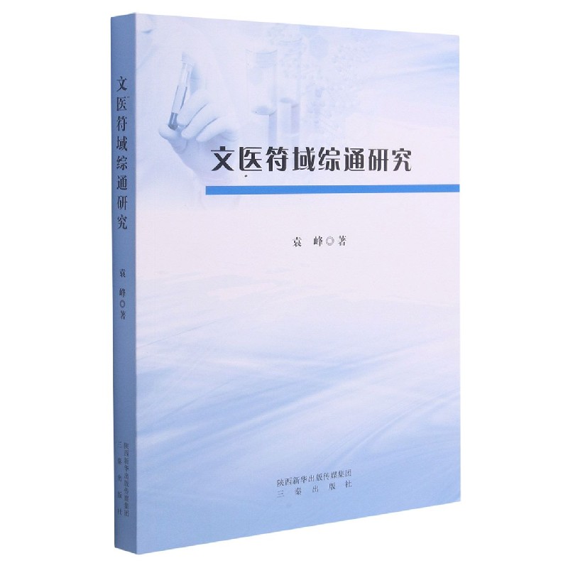 文医符域综通研究