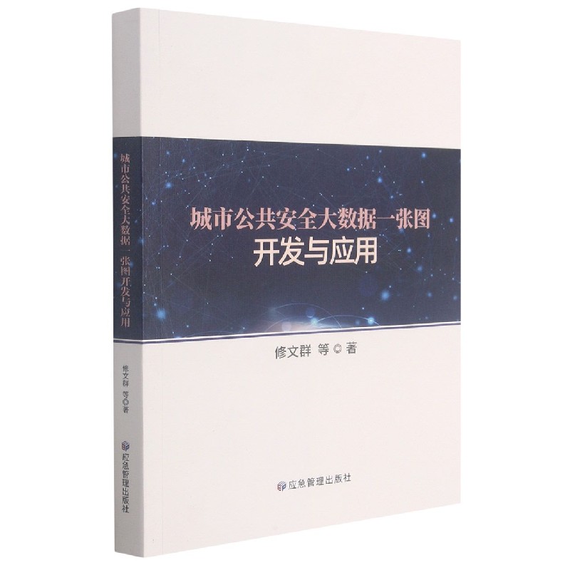 城市公共安全大数据一张图开发与应用