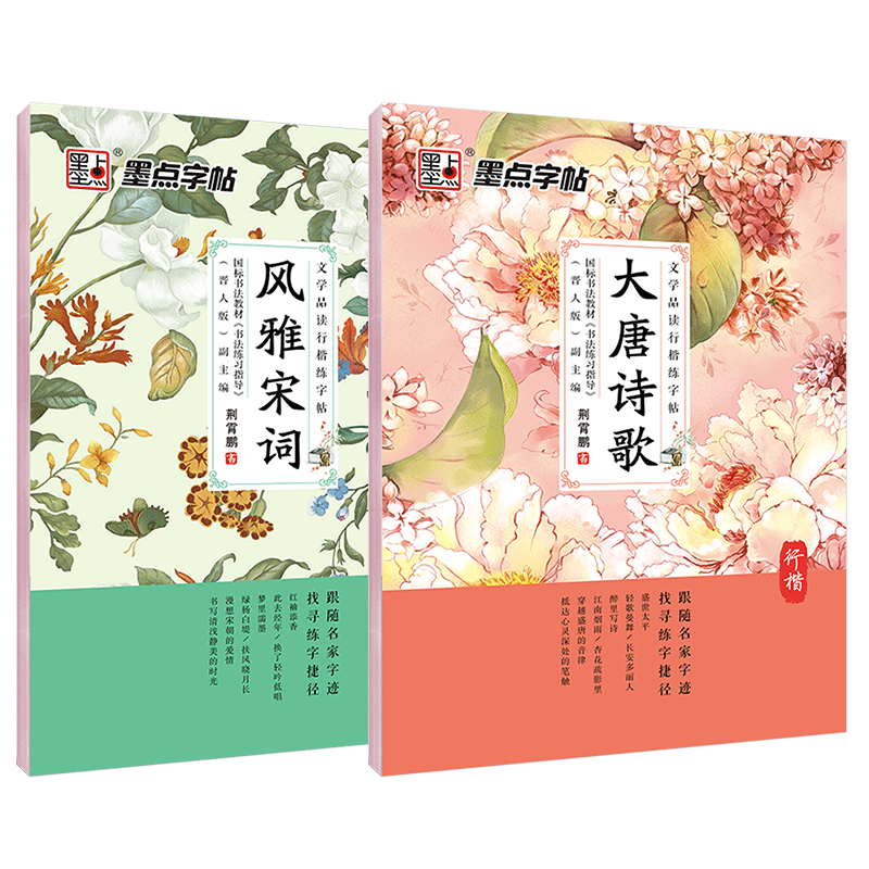 DS·墨点字帖：文学品读行书练字帖·大唐诗歌