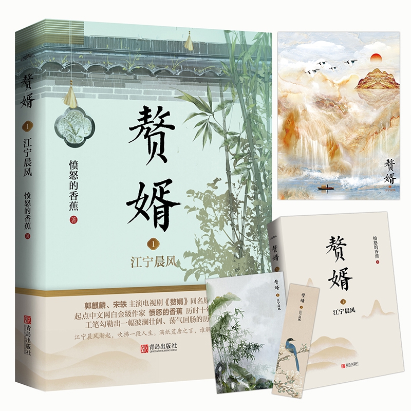 赘婿1江宁晨风