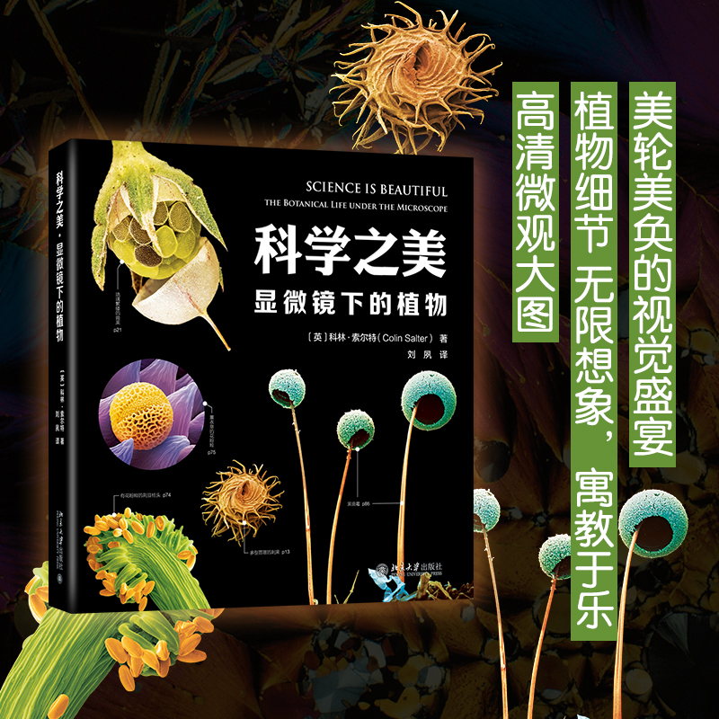 科学之美（显微镜下的植物）（精）