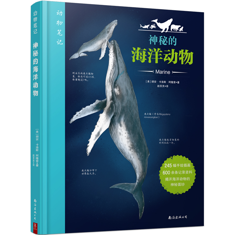 动物笔记:神秘的海洋动物