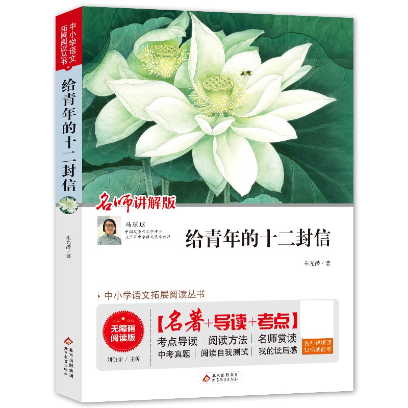 给青年的十二封信(名师讲解版无障碍阅读版)/统编语文教材指定阅读丛书