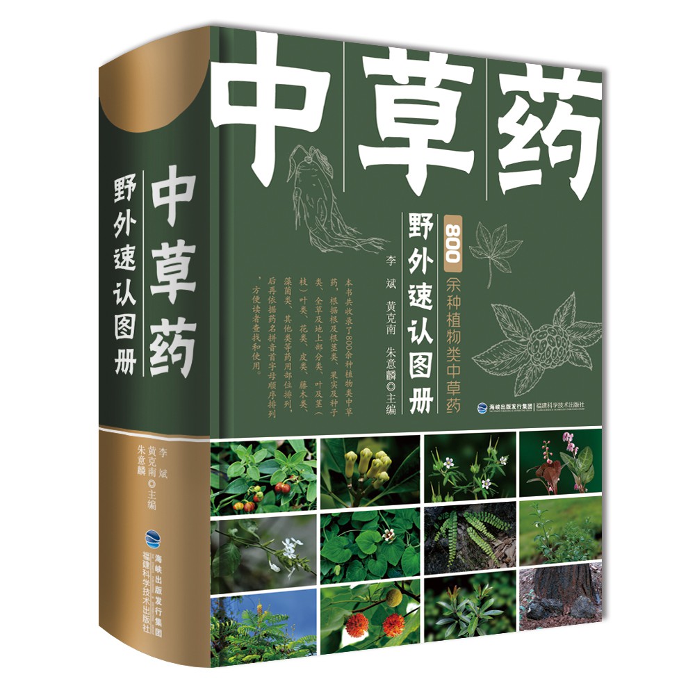 中草药野外速认图册（精）