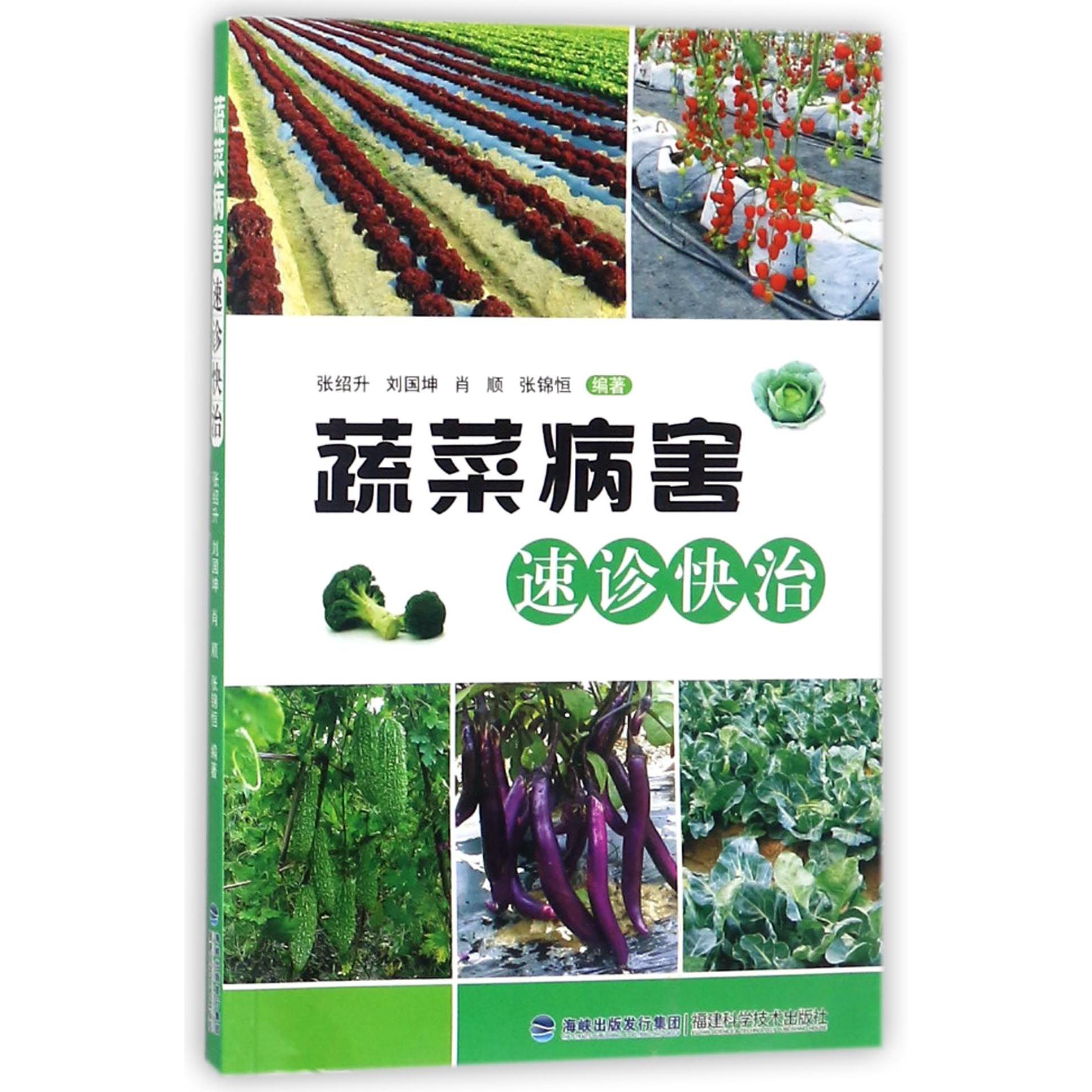 蔬菜病害速诊快治