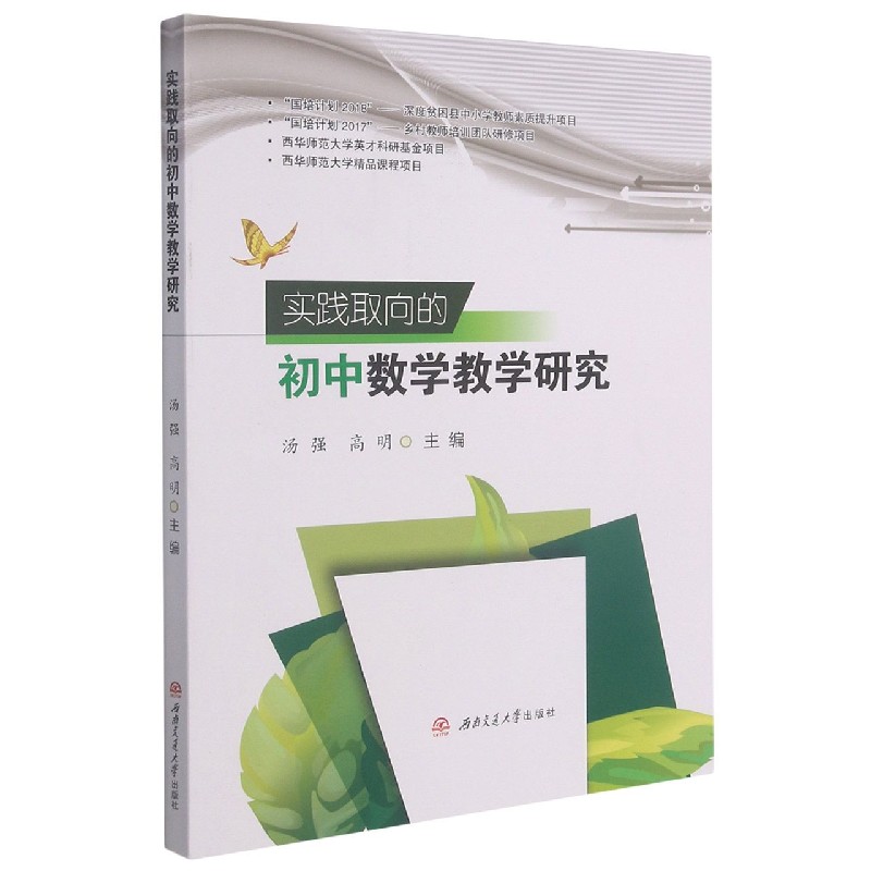 实践取向的初中数学教学研究