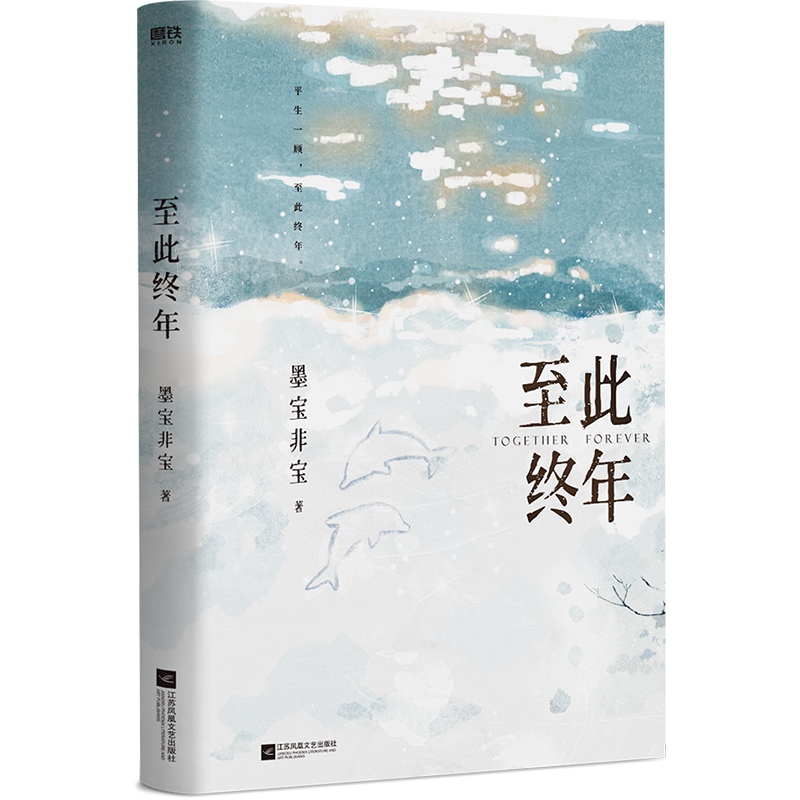 至此终年 飞机盒版