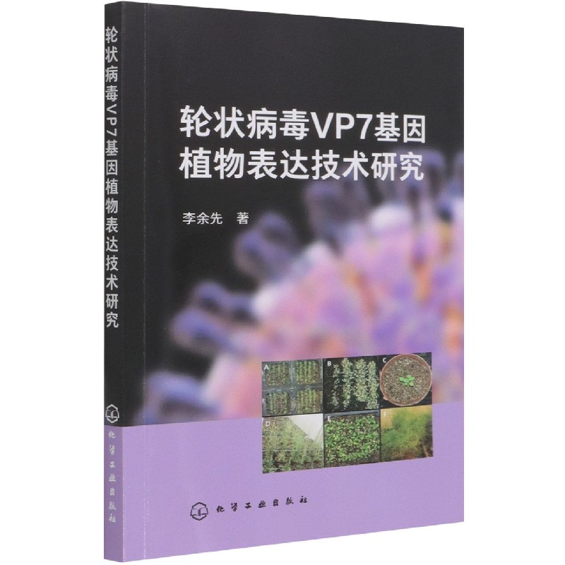 轮状病毒VP7基因植物表达技术研究