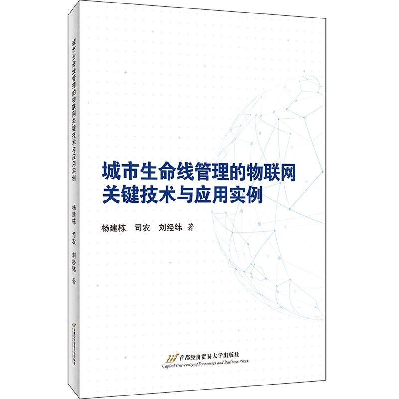 城市生命线管理的物联网关键技术与应用实例