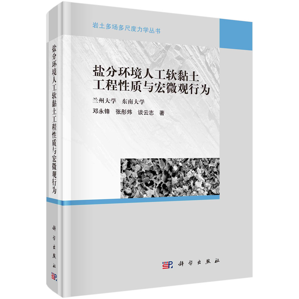 盐分环境人工软黏土工程性质与宏微观行为/岩土多场多尺度力学丛书