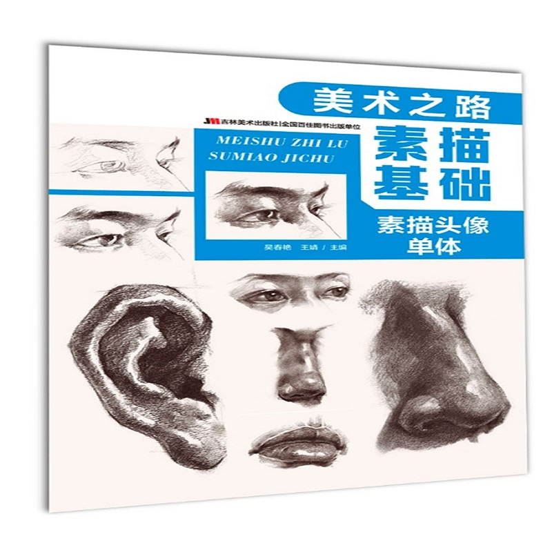 素描基础（素描头像单体）/美术之路