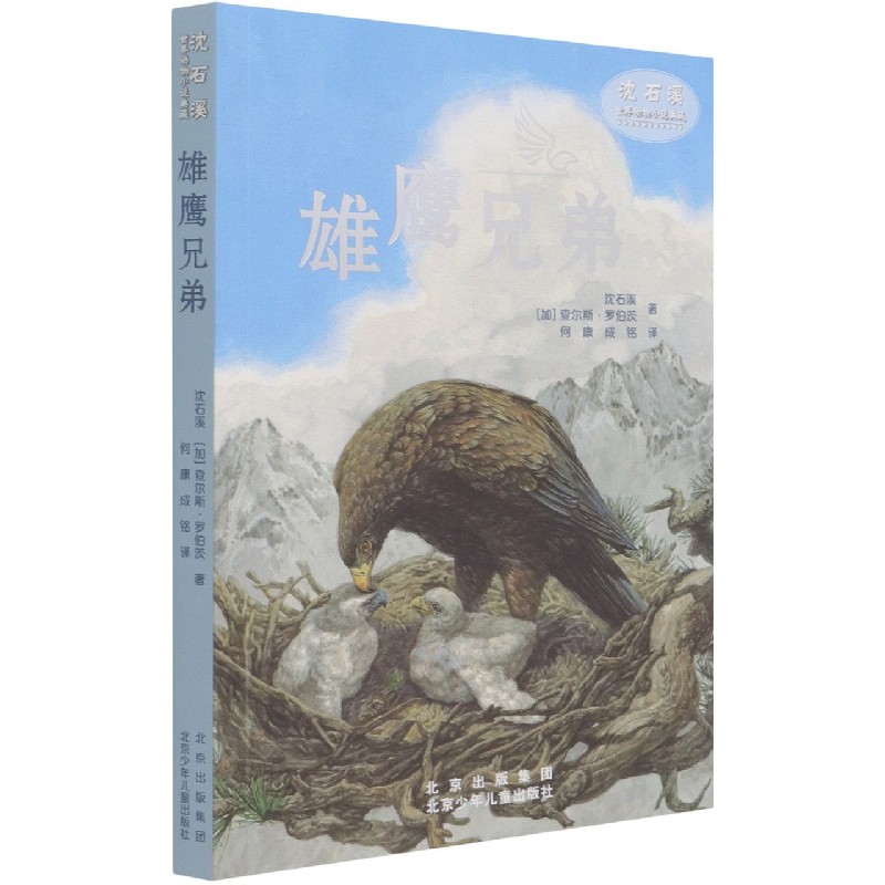 雄鹰兄弟/沈石溪世界动物小说典藏