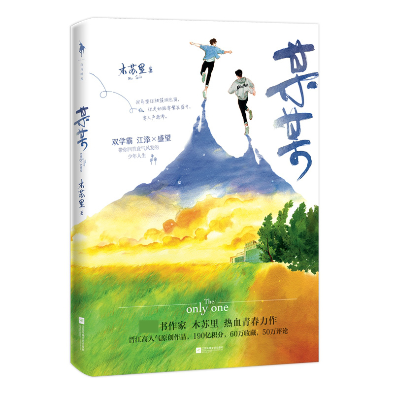 某某 飞机盒版4.0（赠品不变，成本变动）