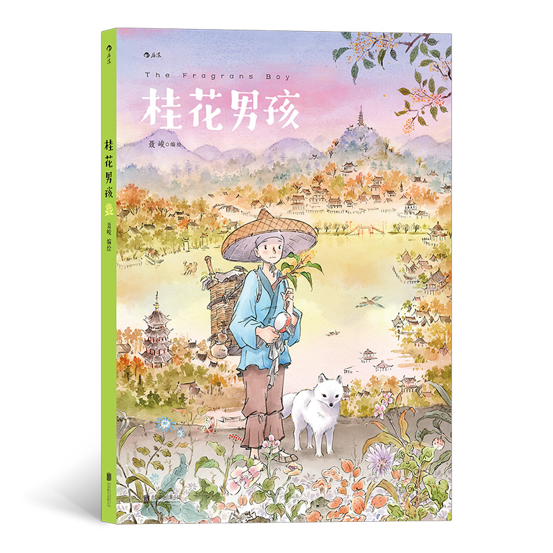 桂花男孩
