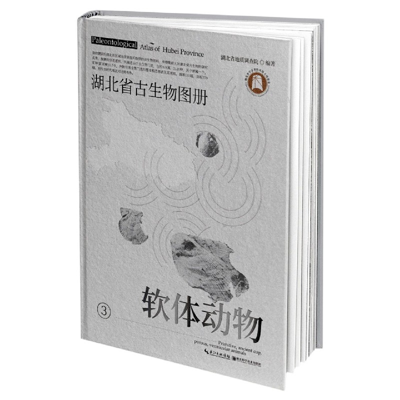 湖北省古生物图册（3软体动物）（精）