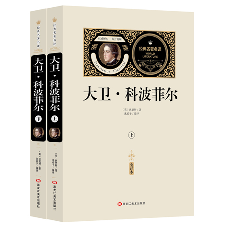 大卫科波菲尔（全2册）赠备考手册