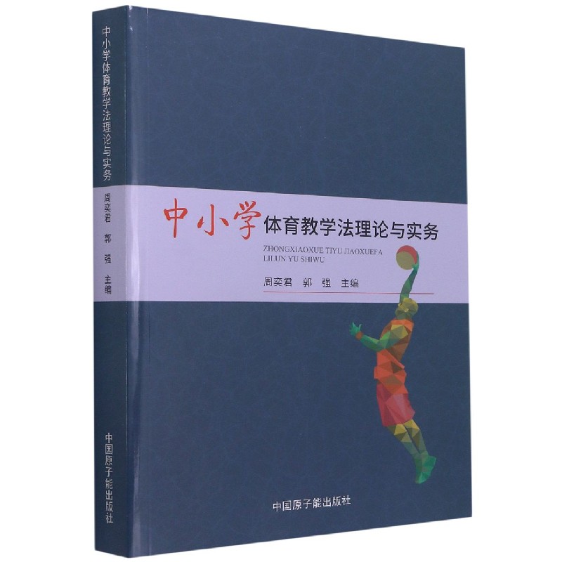 中小学体育教学法理论与实务