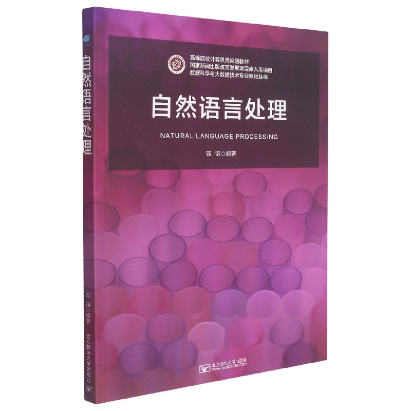 自然语言处理（高等院校计算机类规划教材）/数据科学与大数据技术专业教材丛书