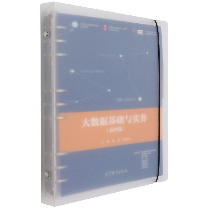 大数据基础与实务（商科版高等职业教育智慧财经系列教材）