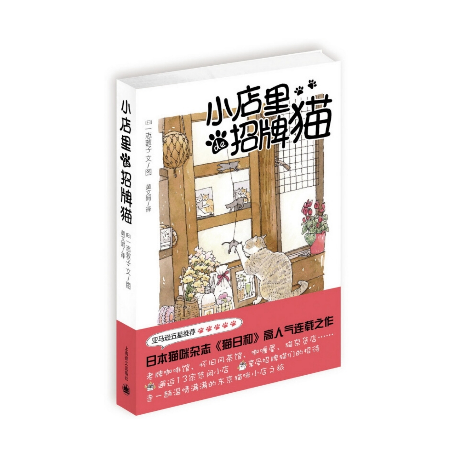 小店里的招牌猫