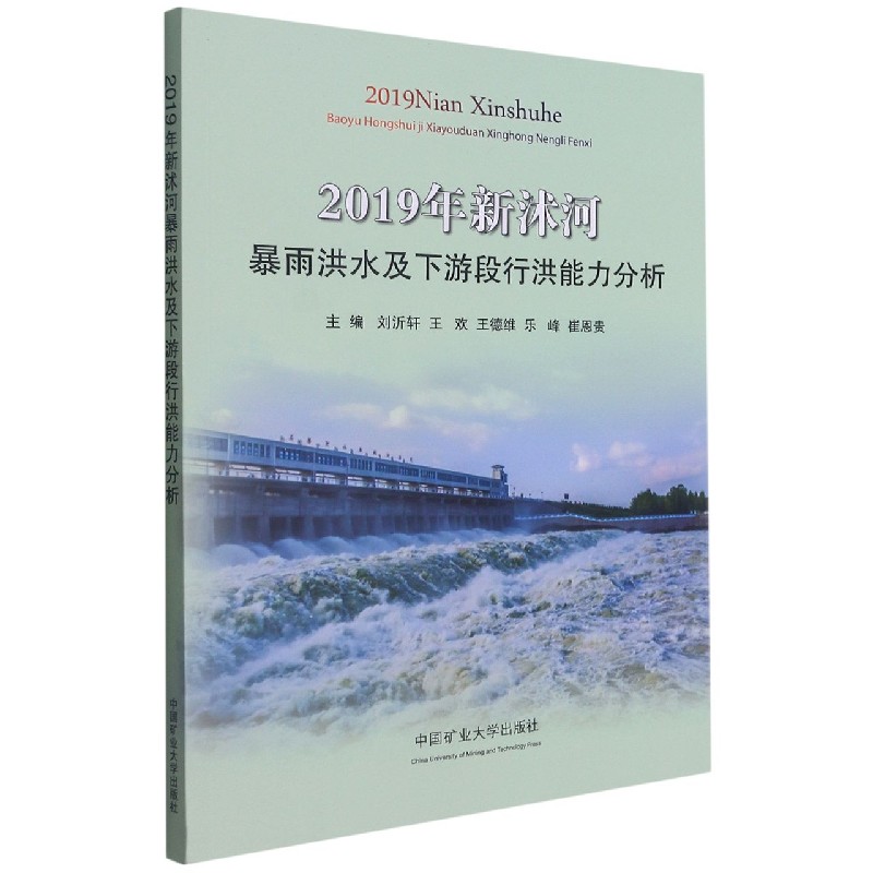 2019年新沭河暴雨洪水及下游段行洪能力分析