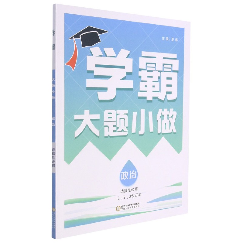 政治（选择性必修123合订本）/学霸大题小做