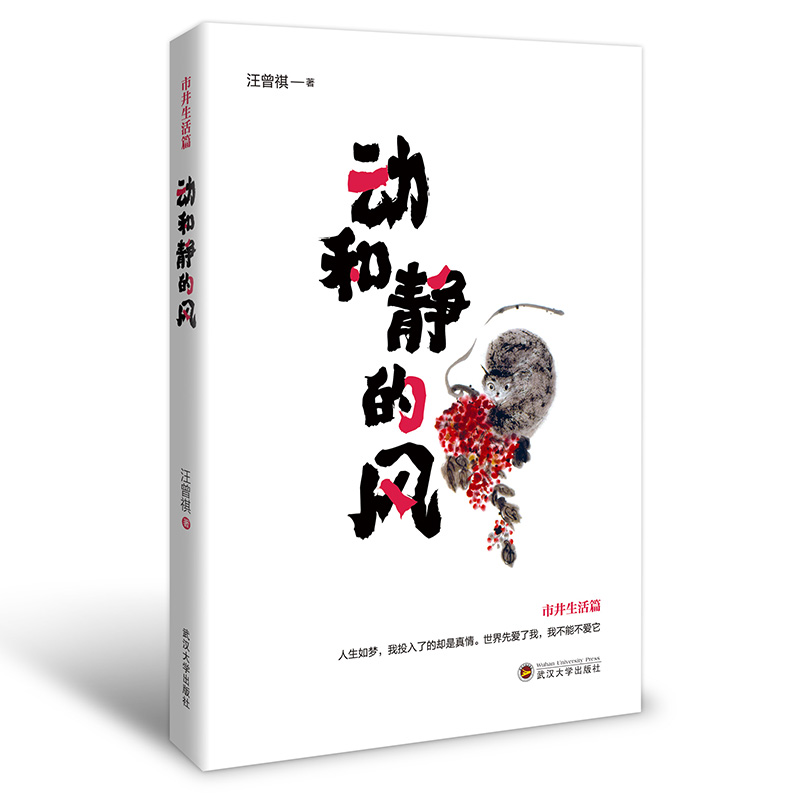 动和静的风