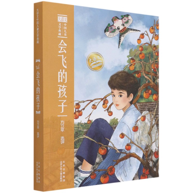 会飞的孩子/大语文中国儿童文学典藏