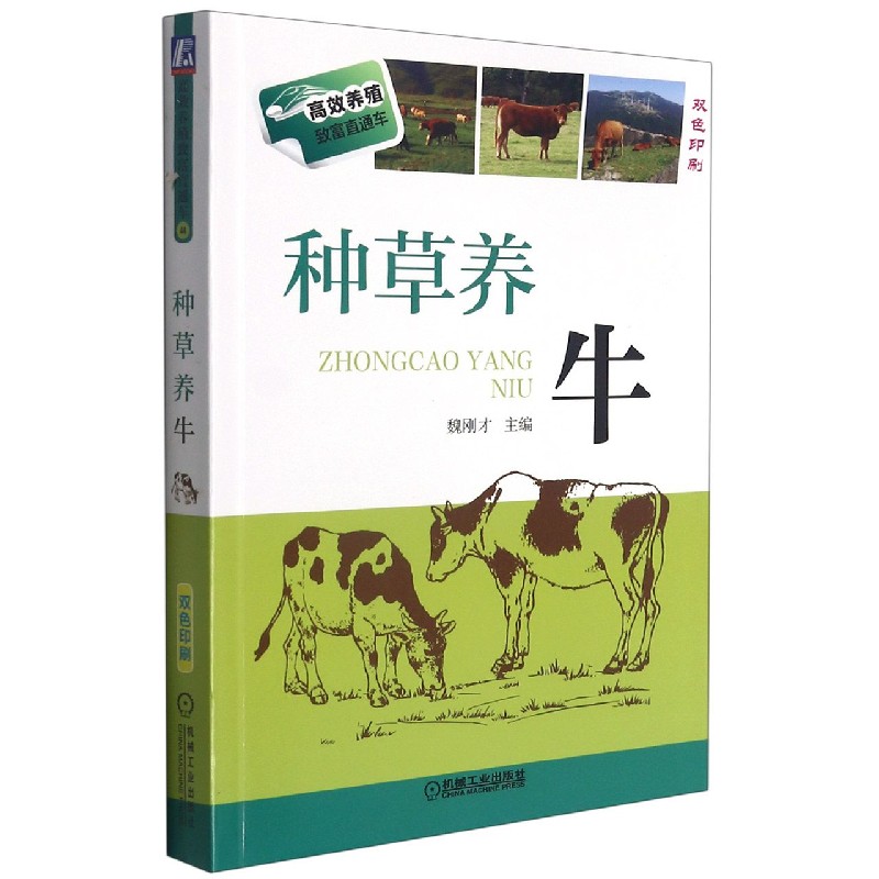 种草养牛（双色印刷）/高效养殖致富直通车
