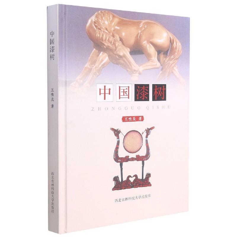 中国漆树（精）